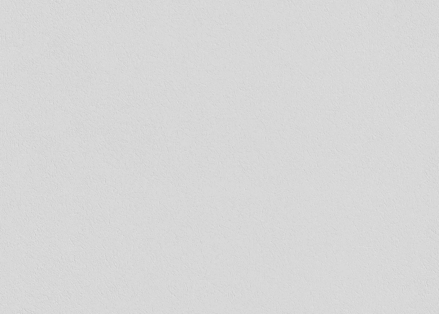 Erfurt Tapete Glattvlies Sisal Elegant 150 G 18,75 M² 4 Erfurt Tapete Glattvlies Sisal Elegant 150 G 18,75 M² - Image 4