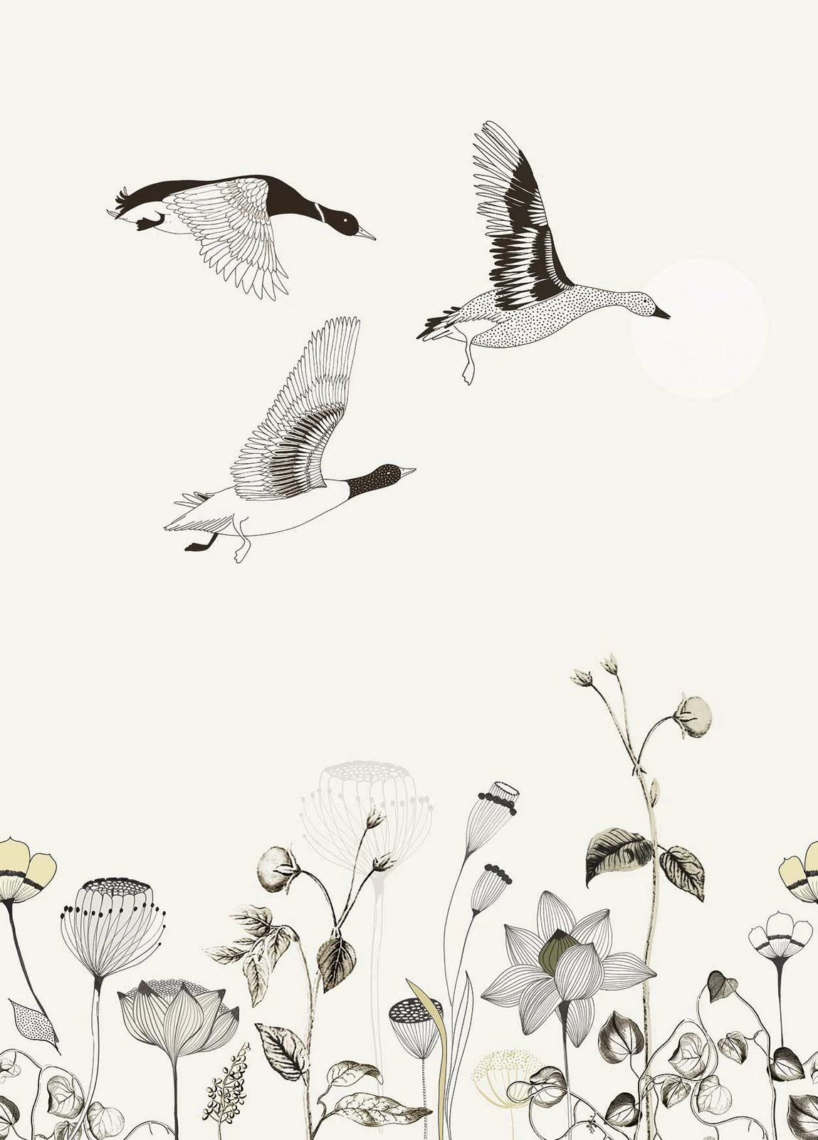 Fototapete Natur Blumen Creme Schwarz Onszelf 532005 2 Fototapete Natur Blumen Creme Schwarz Onszelf 532005 - Image 2