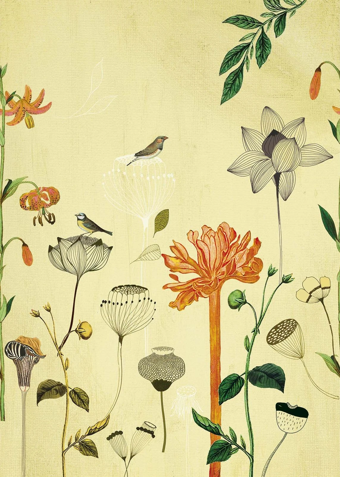 Fototapete Natur Vogel Gelb Orange Onszelf 532036 2 Fototapete Natur Vogel Gelb Orange Onszelf 532036 - Image 2