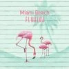 Fototapete Vlies Flamingo Miami Beach Florida 225x300cm
