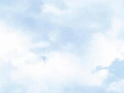 Bester Tapeten Laden 3 Bester Tapeten Laden -Bester Tapeten Laden Fototapeten Wolken Himmel blau weiss Vlies 38228 1 63209607