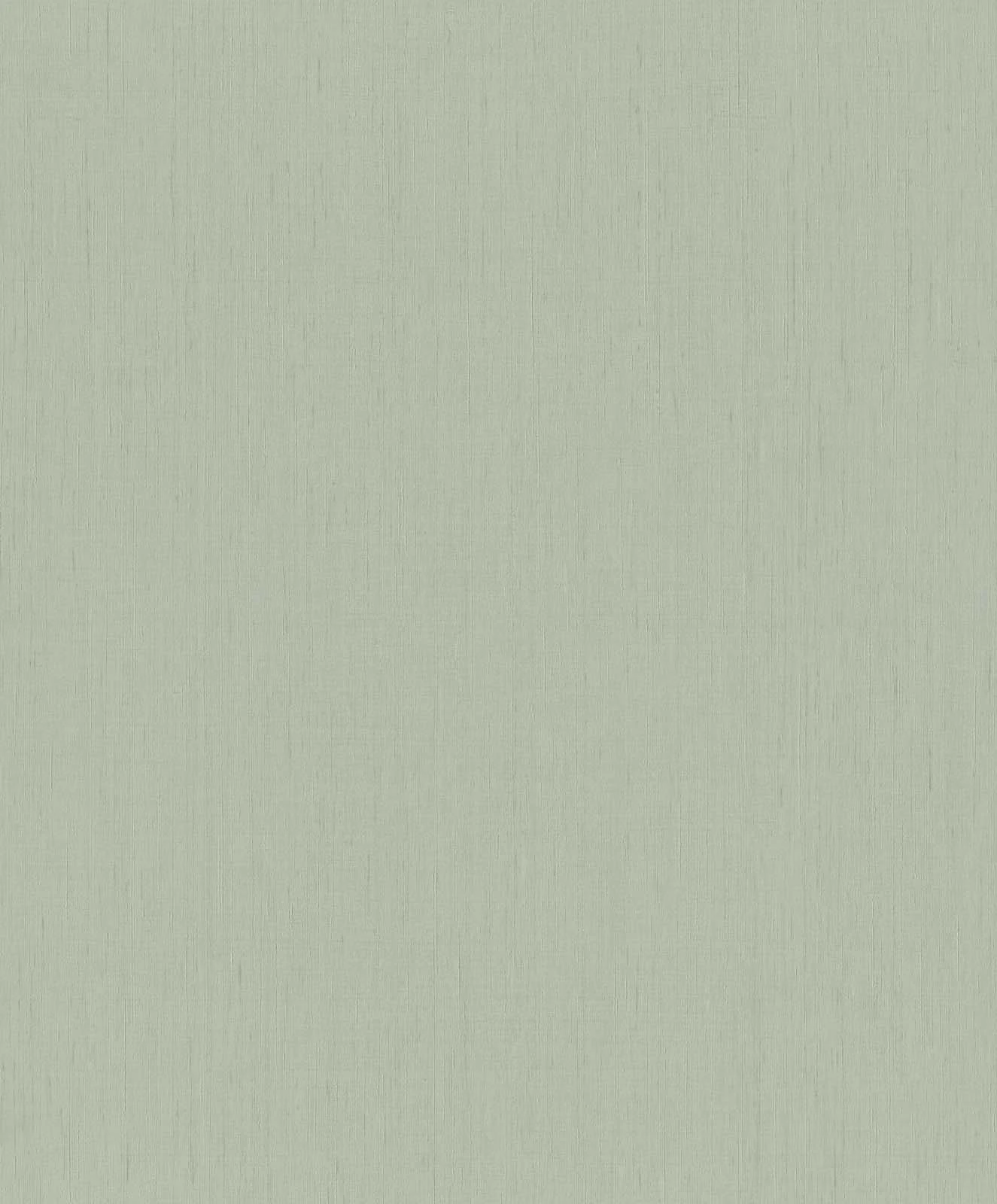 Vliestapete Rasch 746136 Einfarbig Struktur Hellgrün 2 Vliestapete Rasch 746136 Einfarbig Struktur Hellgrün - Image 2