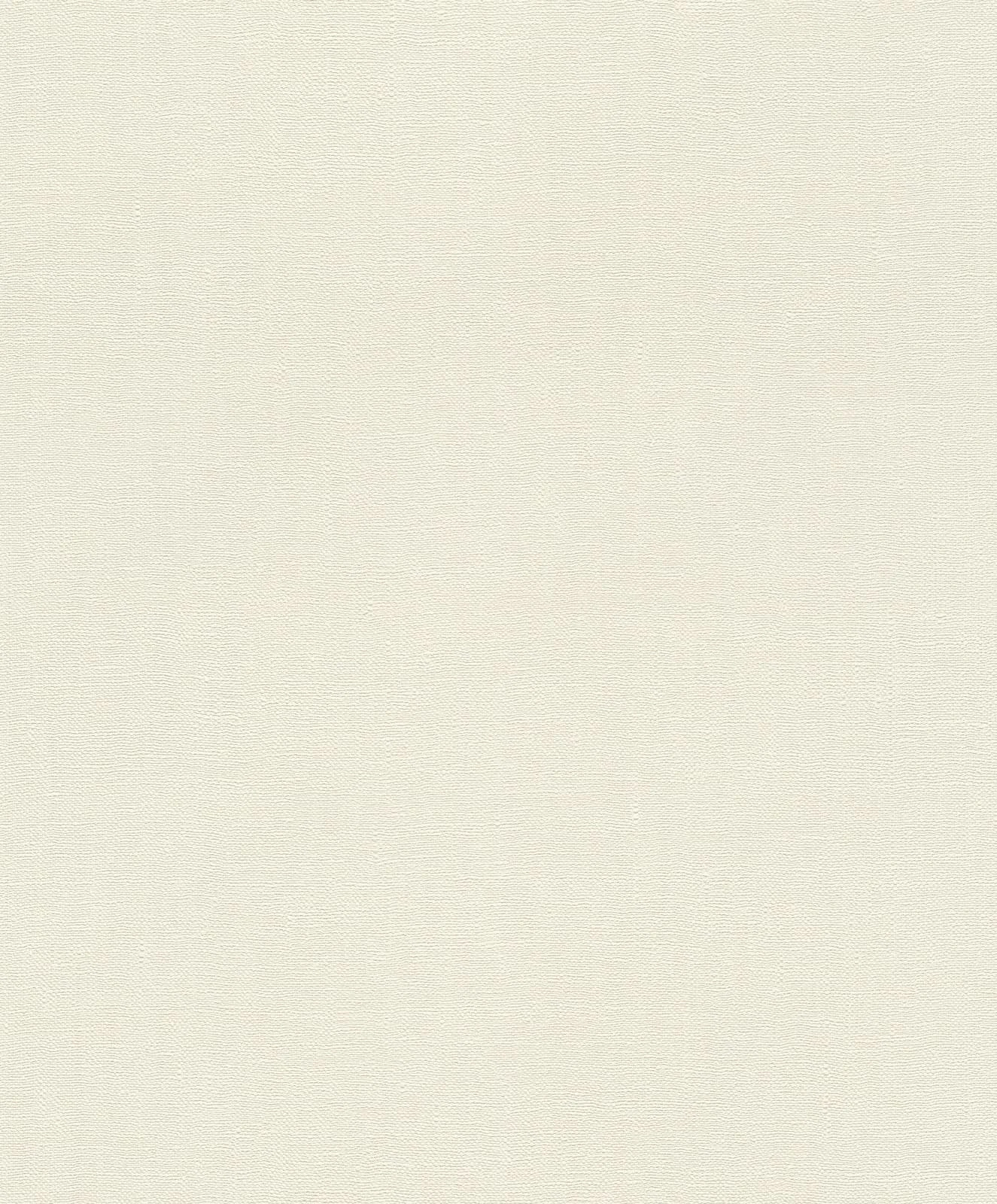 Tapete Barbara Home Collection Einfarbig Meliert Weiß 3 Tapete Barbara Home Collection Einfarbig Meliert Weiß - Image 3