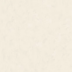 Vliestapete Putz-Optik Creme World Wide Walls 061000