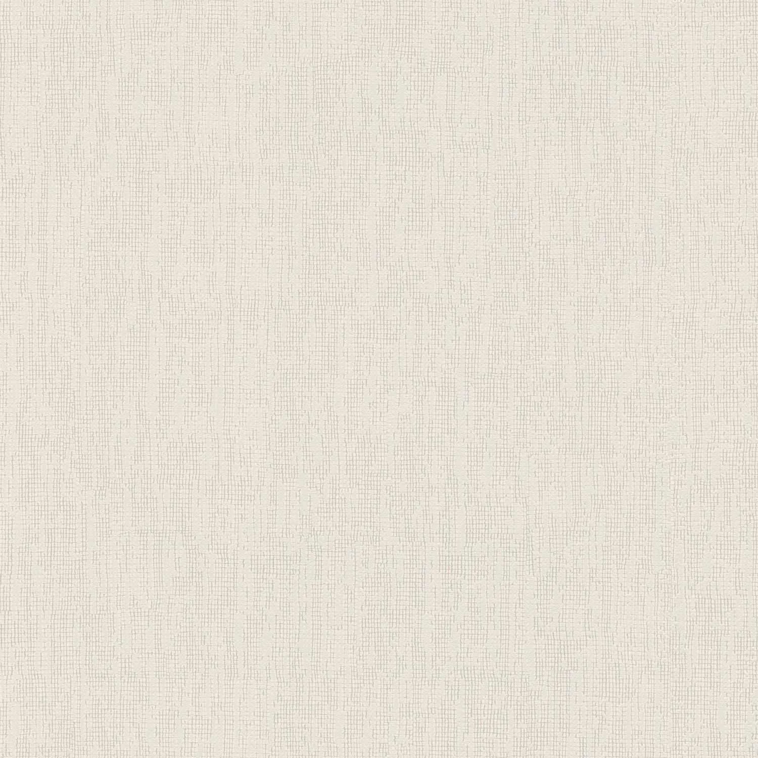 A.S. Creation Vliestapete 385992 Linien Muster Creme Grau 1 A.S. Creation Vliestapete 385992 Linien Muster Creme Grau